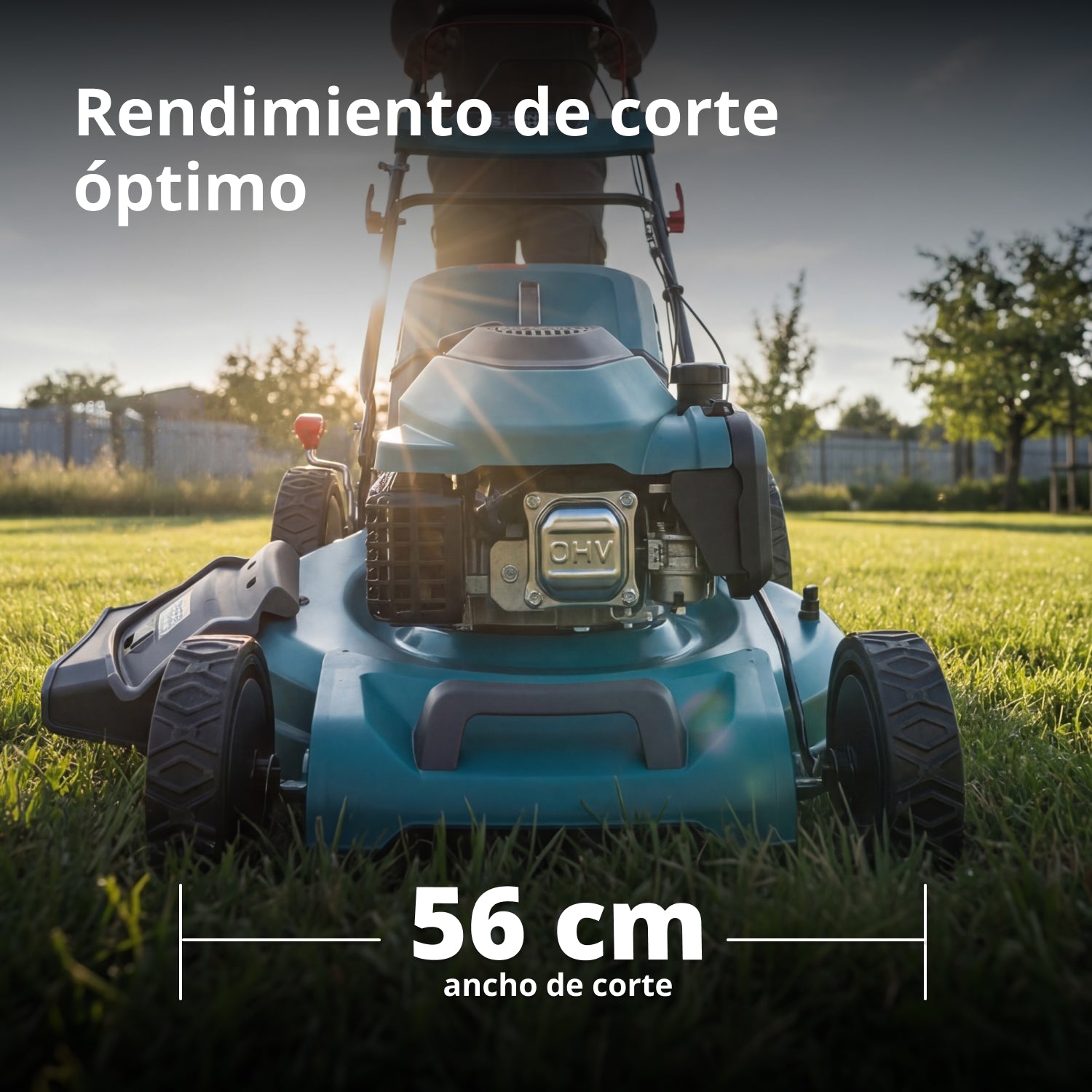 Cortacésped de gasolina KS 56LMG-SP